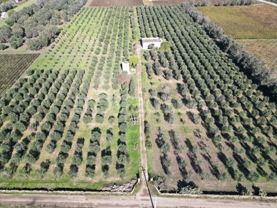 Terreno Agricolo in vendita a Oria strada Comunale Sant'Andrea