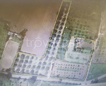 Terreno Agricolo in vendita a Orosei strada 55