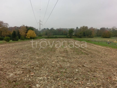 Terreno Agricolo in vendita a Orsenigo parini s.n.c