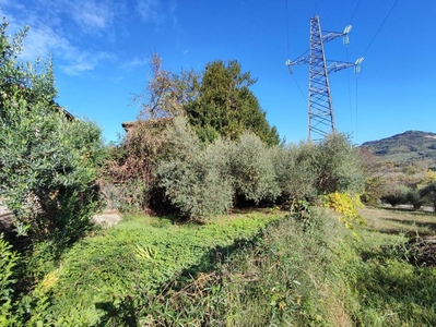 Terreno Agricolo in vendita a Orte via Alcide De Gasperi