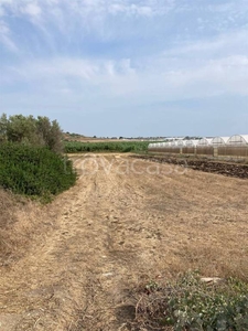 Terreno Agricolo in vendita a Pachino contrada Saiazza