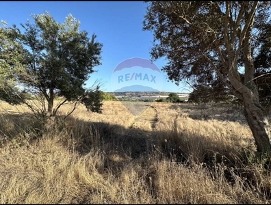 Terreno Agricolo in vendita a Pachino contrada Saiazza