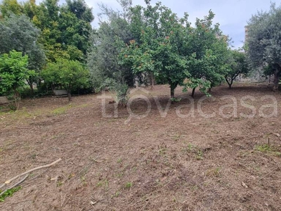 Terreno Agricolo in vendita a Palermo via Nave, 3