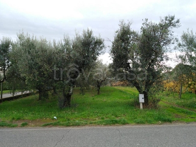 Terreno Agricolo in vendita a Palestrina via Tende, 100