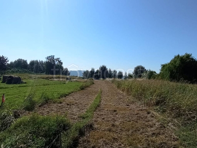 Terreno Agricolo in vendita a Passignano sul Trasimeno