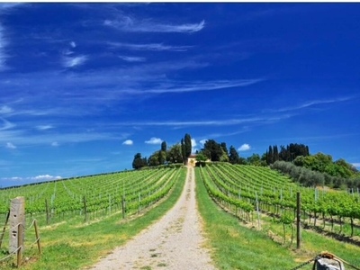 Terreno Agricolo in vendita a Peccioli