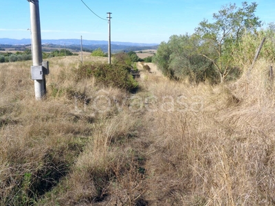 Terreno Agricolo in vendita a Peccioli strada Provinciale Colline per Legoli