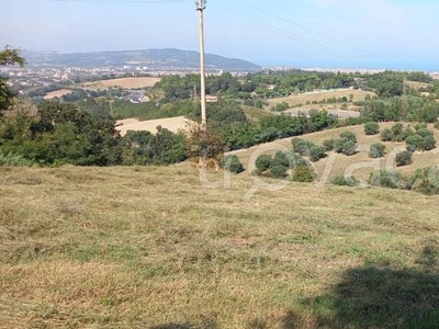 Terreno Agricolo in vendita a Pesaro strada dell'Angelo Custode, 1