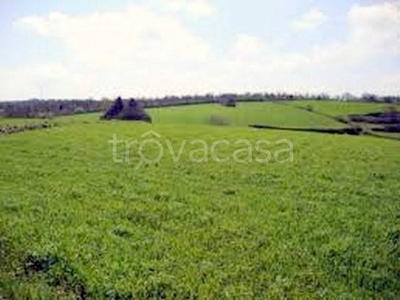 Terreno Agricolo in vendita a Pezzana strada Provinciale del Monferrato