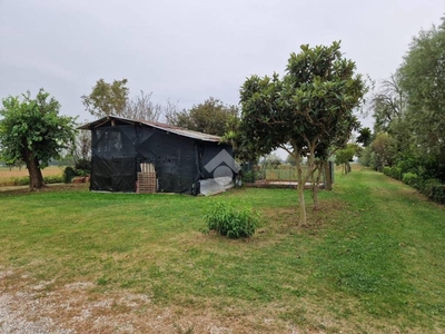 Terreno Agricolo in vendita a Pianiga via Noalese Sud, 8