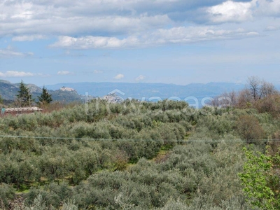 Terreno Agricolo in vendita a Piedimonte Etneo via Zappello Campagna, 3