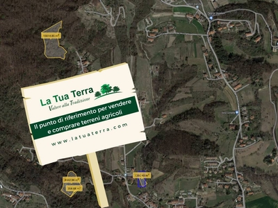 Terreno Agricolo in vendita a Pino Torinese via Civera