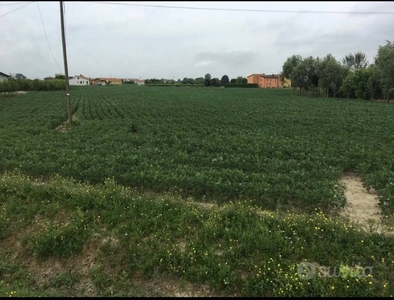 Terreno Agricolo in vendita a Piove di Sacco via Brentella Destra, 10