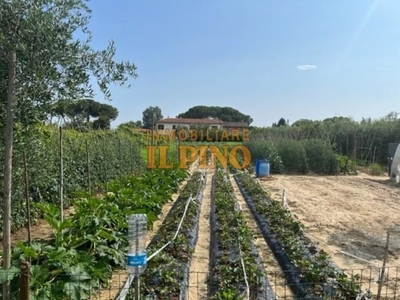 Terreno Agricolo in vendita a Pisa via Maggiore di Oratoio,