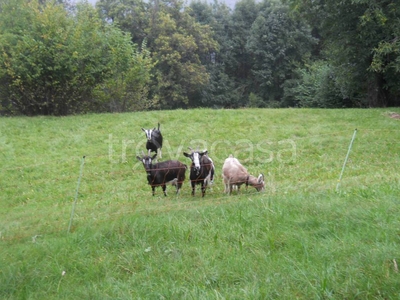 Terreno Agricolo in vendita a Pisogne località Val Palot