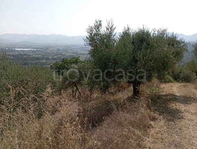 Terreno Agricolo in vendita a Poggio Bustone villa Càpita