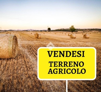 Terreno Agricolo in vendita a Poirino strada di Riva presso Chieri, 1