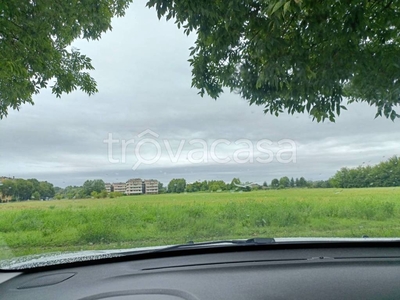 Terreno Agricolo in vendita a Pojana Maggiore