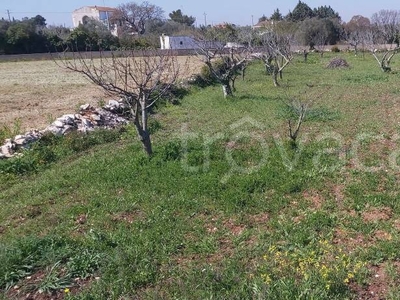 Terreno Agricolo in vendita a Polignano a Mare strada Comunale Marinesca