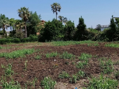 Terreno Agricolo in vendita a Pomezia