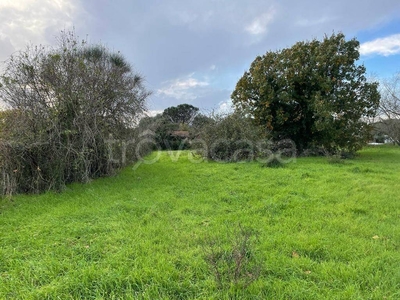 Terreno Agricolo in vendita a Pomezia via delle Acacie