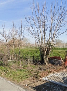 Terreno Agricolo in vendita a Ponsacco via Vecchia di Pontedera, 35