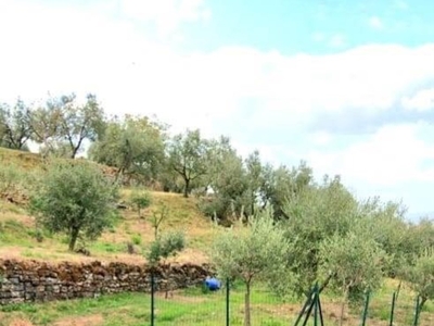 Terreno Agricolo in vendita a Prato via delle lastre snc