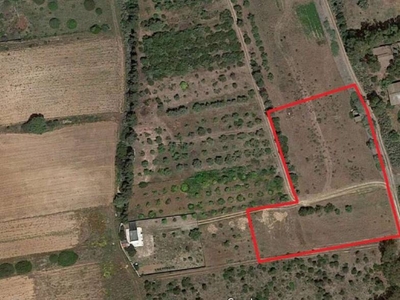 Terreno Agricolo in vendita a Quartu Sant'Elena via Dell'autonomia Regionale Sarda