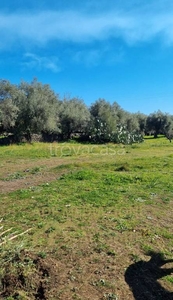 Terreno Agricolo in vendita a Ragalna