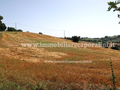 Terreno Agricolo in vendita a Recanati