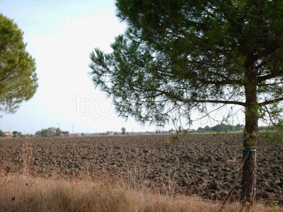 Terreno Agricolo in vendita a Rimini via Fiori, 393