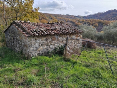 Terreno Agricolo in vendita a Roccalbegna strada Vicinale di Faeta