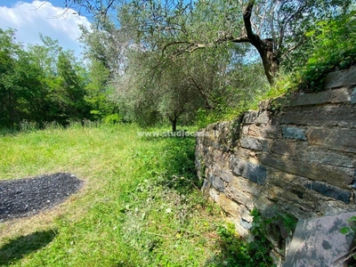 Terreno Agricolo in vendita a Roè Volciano