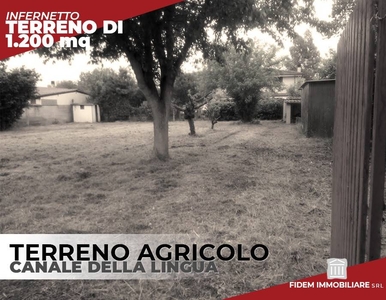 Terreno Agricolo in vendita a Roma via del Canale della Lingua