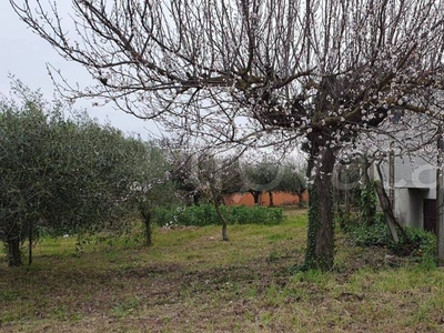 Terreno Agricolo in vendita a Roma via Pietradefusi, 3