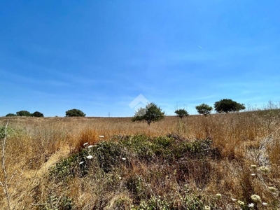 Terreno Agricolo in vendita a Roma via Vincenzo Diamare