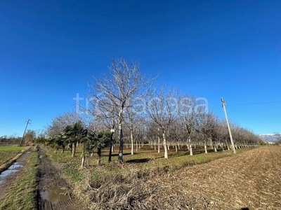 Terreno Agricolo in vendita a Rosà via Carpellina