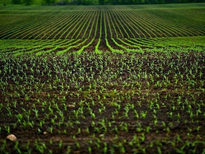 Terreno Agricolo in vendita a Rosà via Guglielmo Marconi, 23