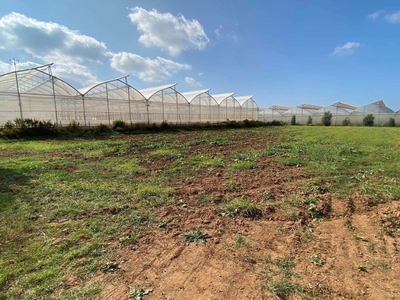 Terreno Agricolo in vendita a Rosignano Marittimo