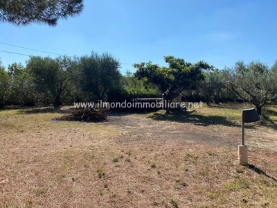 Terreno Agricolo in vendita a Rosignano Marittimo