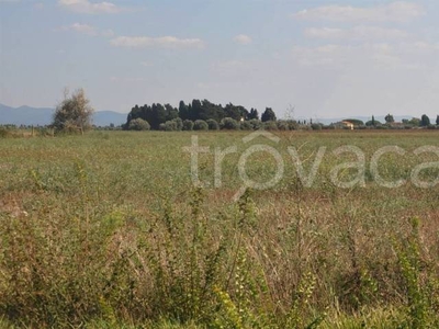 Terreno Agricolo in vendita a Rosignano Marittimo stradone dei Fichi