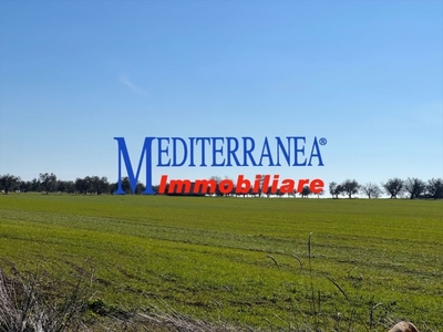 Terreno Agricolo in vendita a Ruvo di Puglia