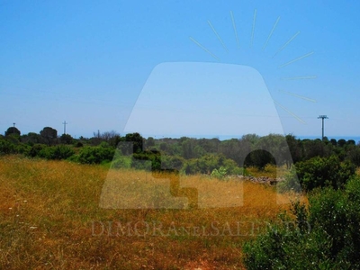 Terreno Agricolo in vendita a Salve strada Vicinale Profichi