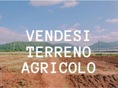 Terreno Agricolo in vendita a Salzano