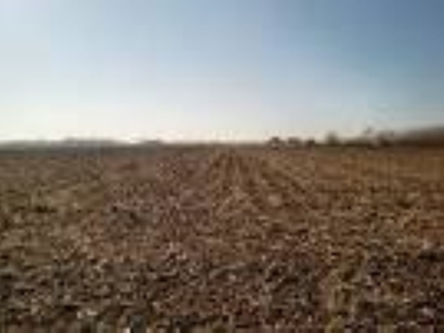 Terreno Agricolo in vendita a Salzano via XXV aprile