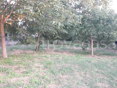 Terreno Agricolo in vendita a San Cesareo via Calcara Muratella, 12