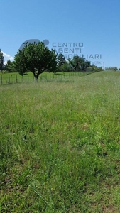 Terreno Agricolo in vendita a San Cesareo via Colle di Fuori