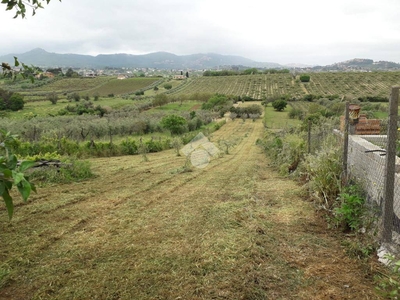 Terreno Agricolo in vendita a San Cesareo via Colle Sfiamma