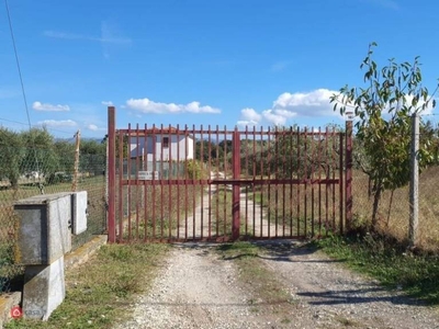 Terreno Agricolo in vendita a San Cesareo via del Carzolese