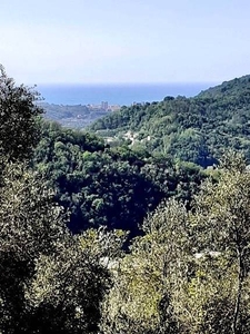 Terreno Agricolo in vendita a San Colombano Certenoli